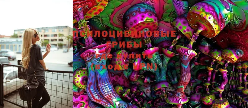 магазин    Ак-Довурак  Псилоцибиновые грибы MAGIC MUSHROOMS 